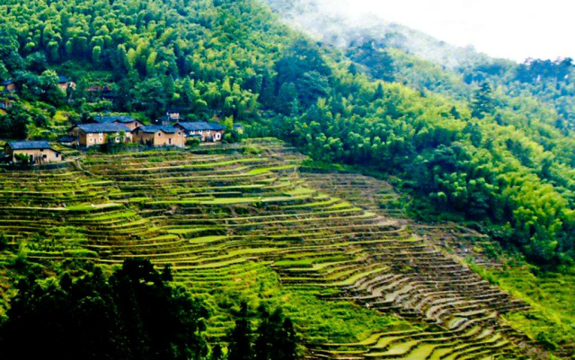 华清洞察丨空心化乡村的全域旅游应